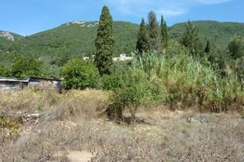 Image for property: 10092
