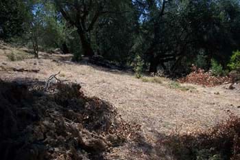 Image for property: 10624