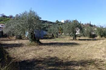 Image for property: 10751