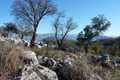 Land for sale near Kassiopi Corfu