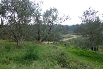 Image for property: 11029