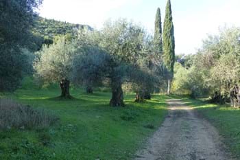 Image for property: 11101