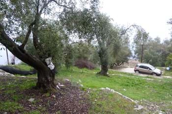 Image for property: 11128