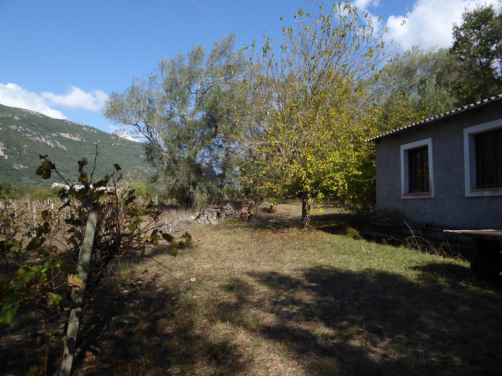 VINEYARD HOUSE, Skripero, Corfu