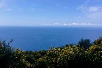 Image for property: 12557