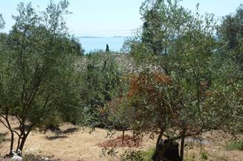 Image for property: 10049