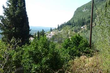 Image for property: 10098