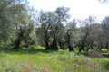 building land for sale central corfu