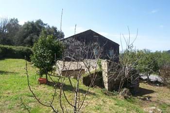 Image for property: 10113