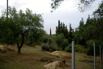 Image for property: 10117