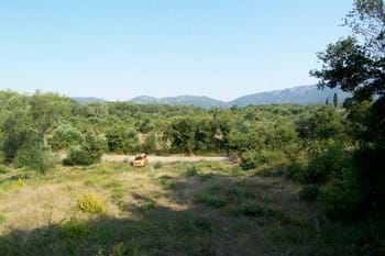 Image for property: 10199