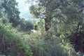 Village land for sale in Corfu