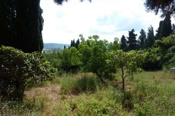 Image for property: 10217