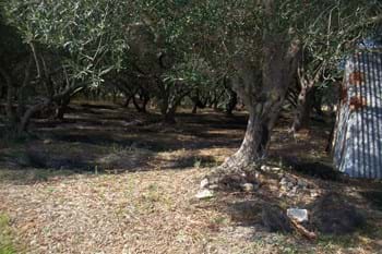 Image for property: 10228