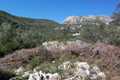Land for sale in Corfu