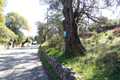 Land and Property for sale in Corfu