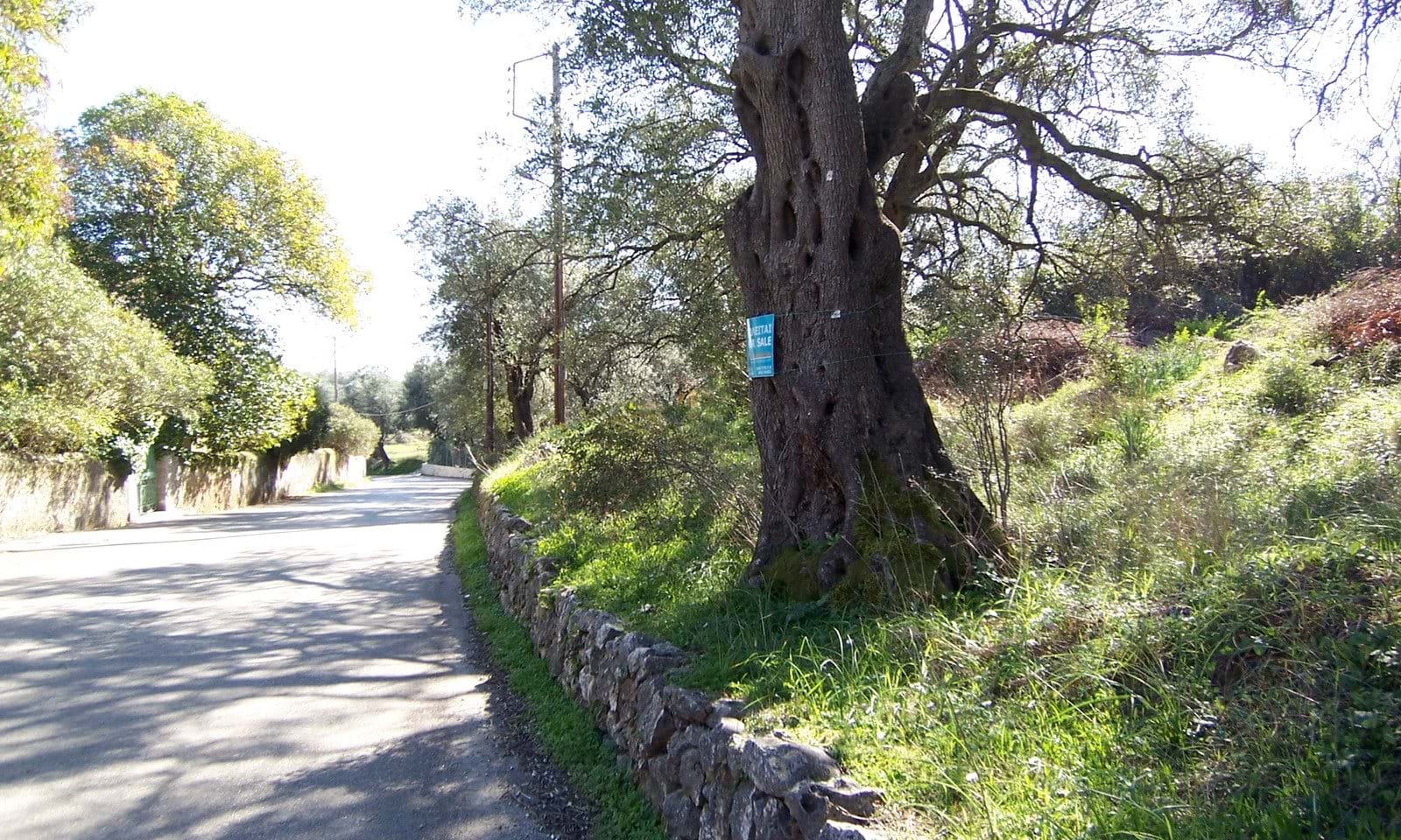 Listing photograph 3 of 6 of the land in Spartilas, published by Corfu Home Finders.