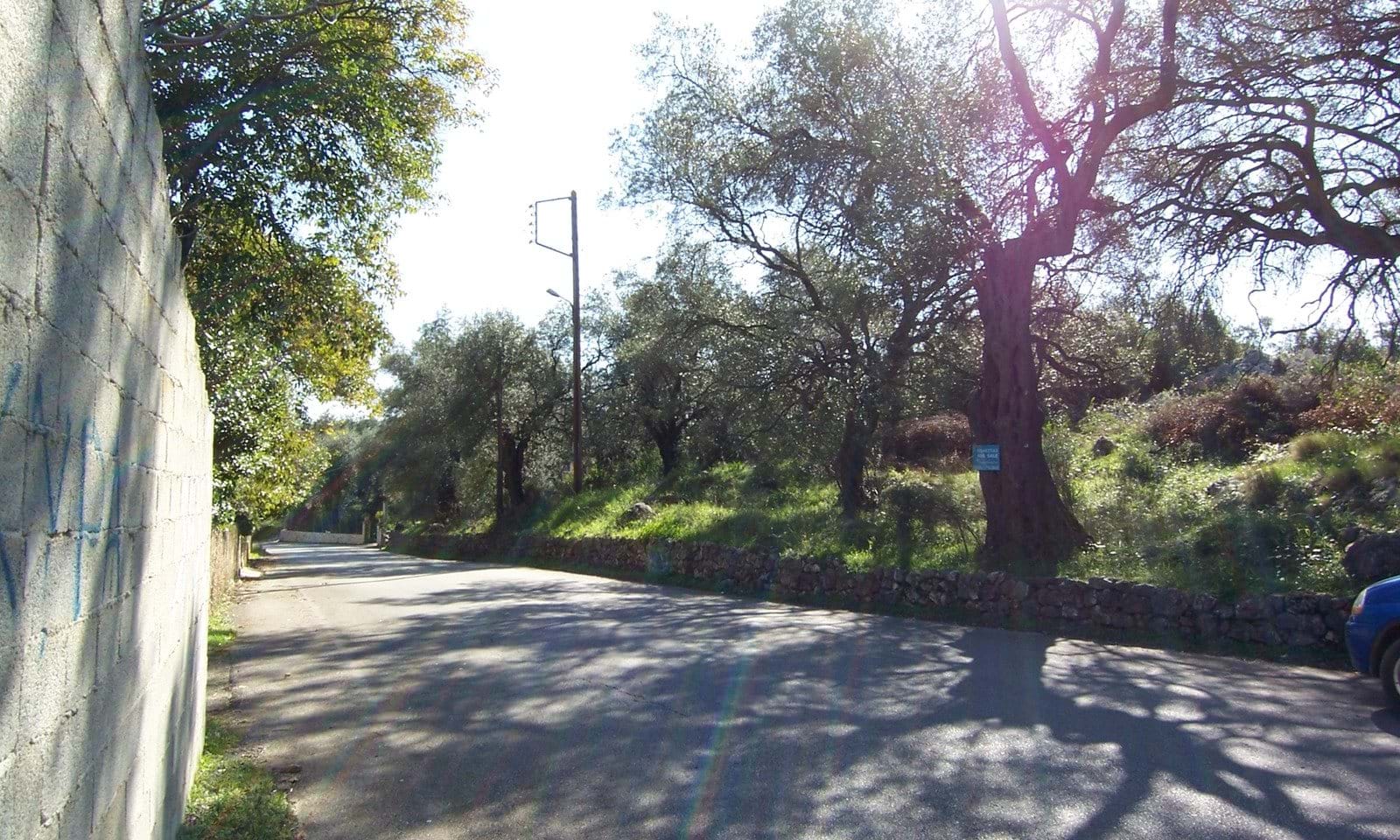 Listing photograph 6 of 6 of the land in Spartilas, published by Corfu Home Finders.
