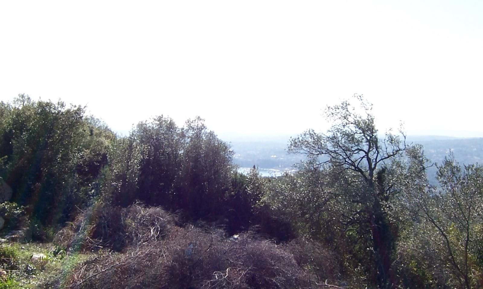 Listing photograph 2 of 6 of the land in Spartilas, published by Corfu Home Finders.