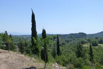 Image for property: 10320