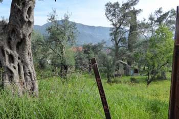 Image for property: 10381