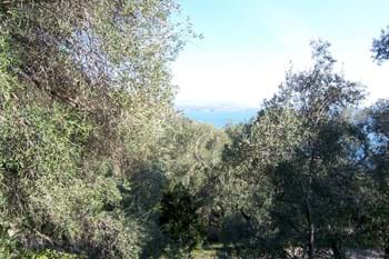 Image for property: 10482