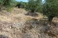 Corfu land and property for sale