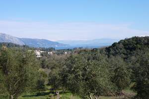 BIRDSONG LAND, Danilia, Corfu