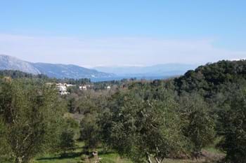 Image for property: 10555