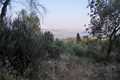 North East Corfu land for sale