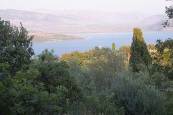Image for property: 10594