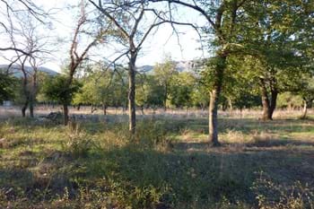 Image for property: 10628