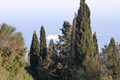 Land for sale in Corfu