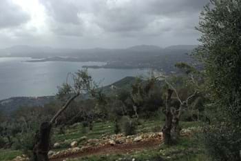 Image for property: 10697