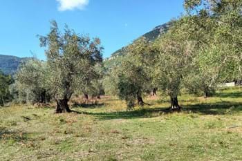 Image for property: 10718
