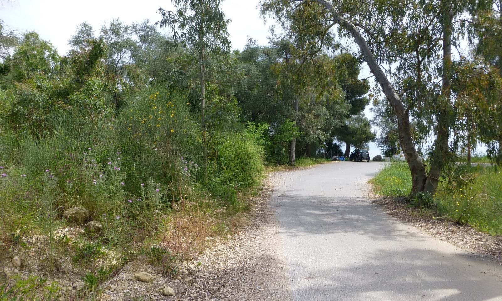 Listing photograph 5 of 5 of the land in Dassia, published by Corfu Home Finders.