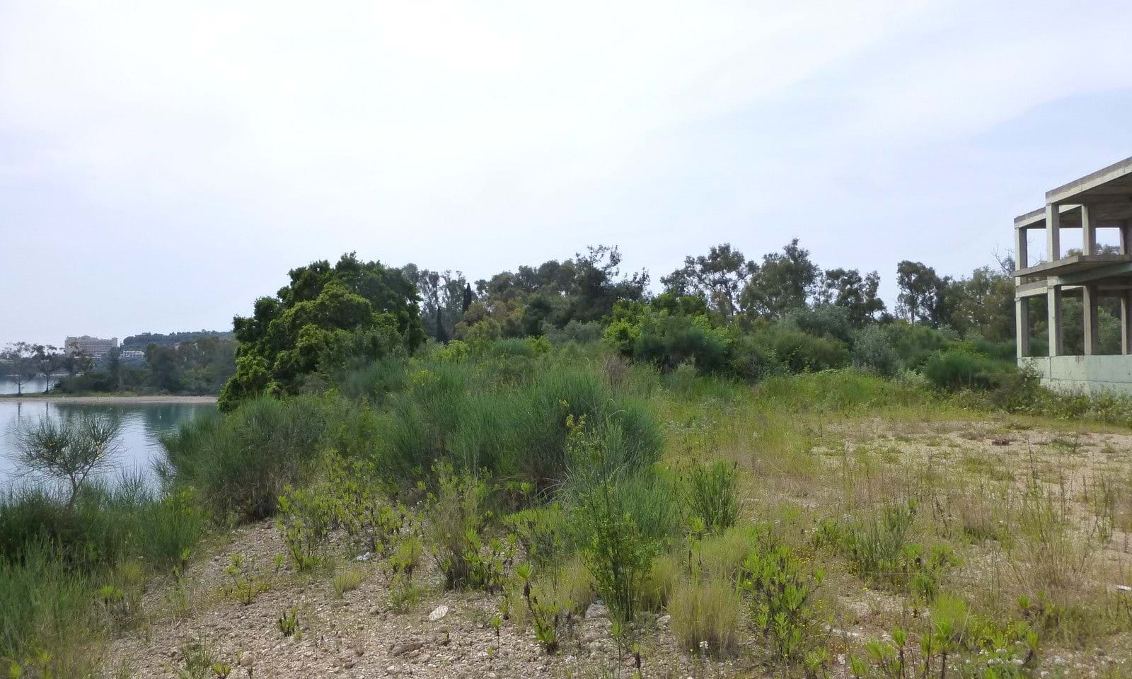 Listing photograph 4 of 5 of the land in Dassia, published by Corfu Home Finders.