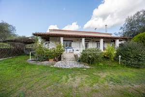 FELICITY, Agios Ioannis, Corfu