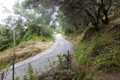 Land for sale in the west of Corfu