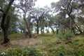 Land for sale Pelekas Corfu