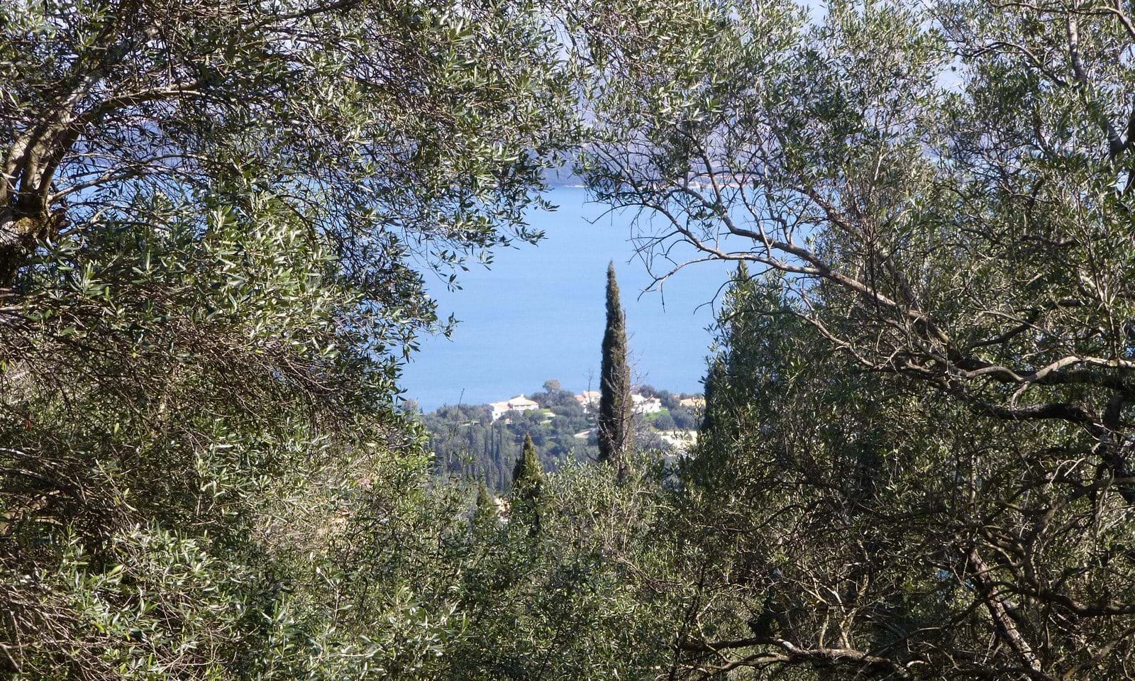 Listing photograph 4 of 4 of the land in Kentroma, published by Corfu Home Finders.