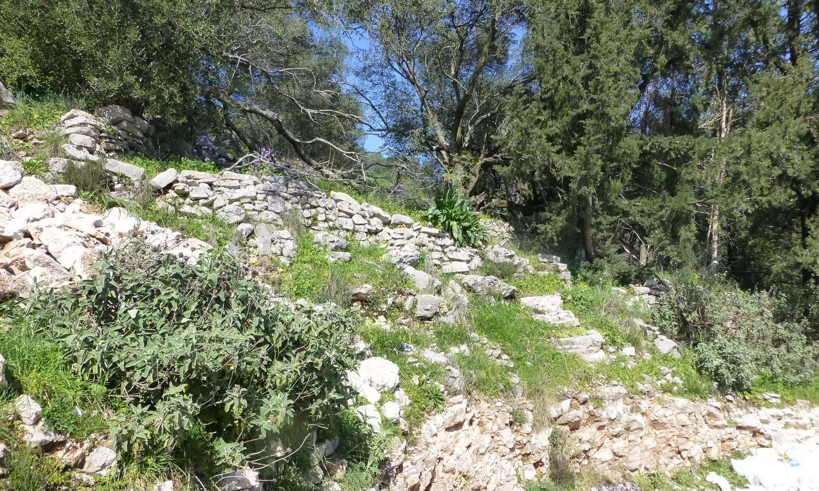 Listing photograph 3 of 4 of the land in Kentroma, published by Corfu Home Finders.