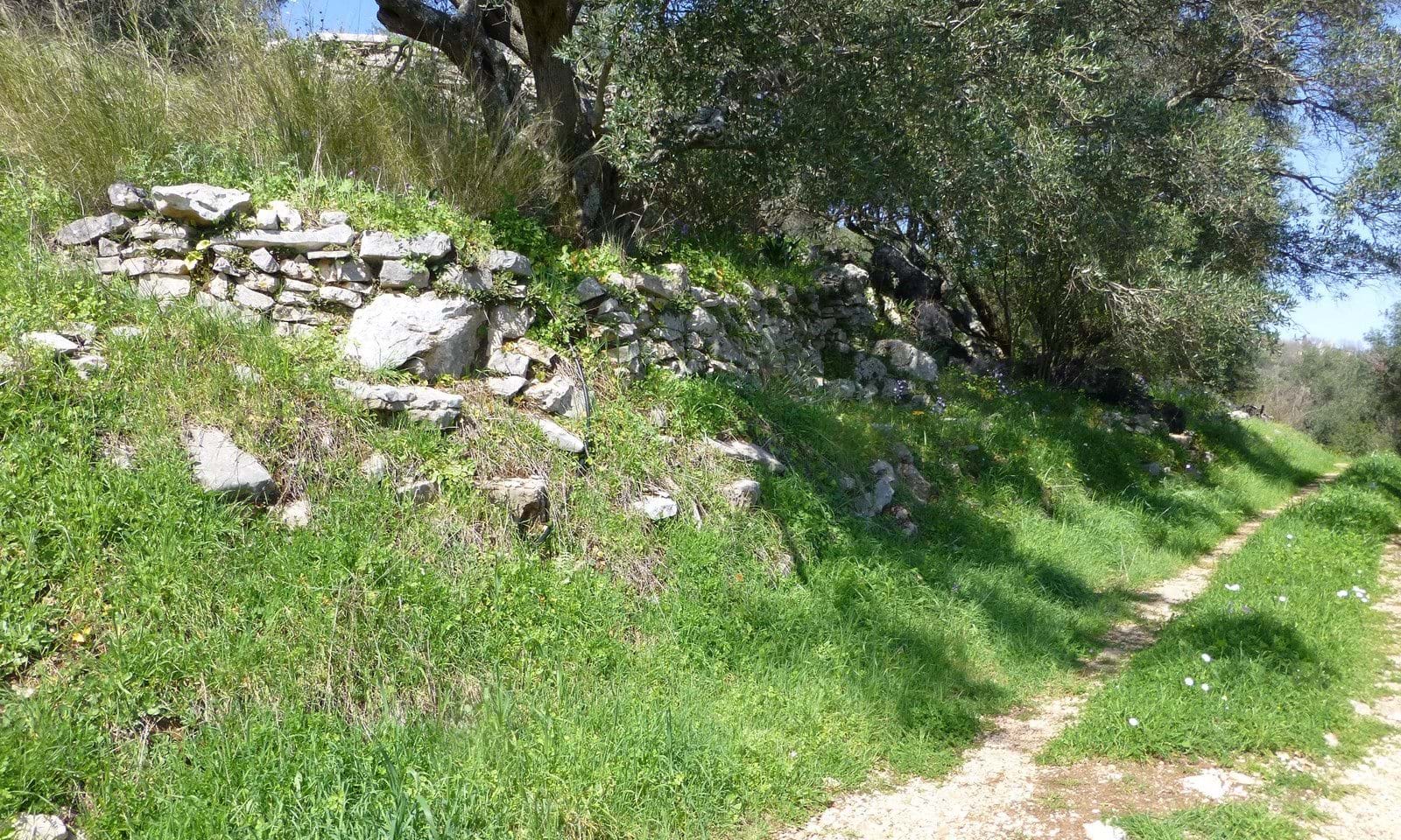 Listing photograph 2 of 4 of the land in Kentroma, published by Corfu Home Finders.