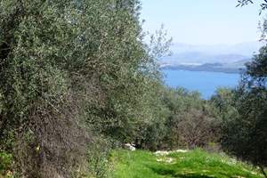 THREE BAYS VIEW LAND, Kentroma, Corfu