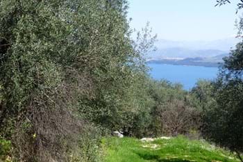 Image for property: 10874