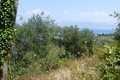 Agios Spiridon land for sale