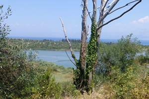 PRENTOULIS LAND, Agios Spiridon, Corfu