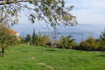 Image for property: 10880