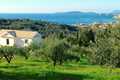 Property for sale in north west Corfu