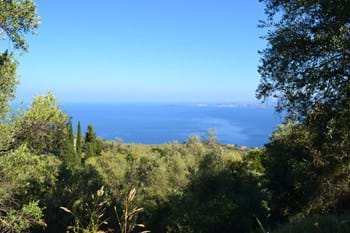 Image for property: 10988